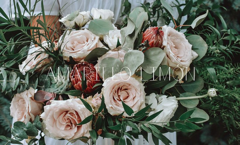 Branding - Amarillo limón 12