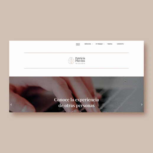 Gif del funcionamiento de la página web.