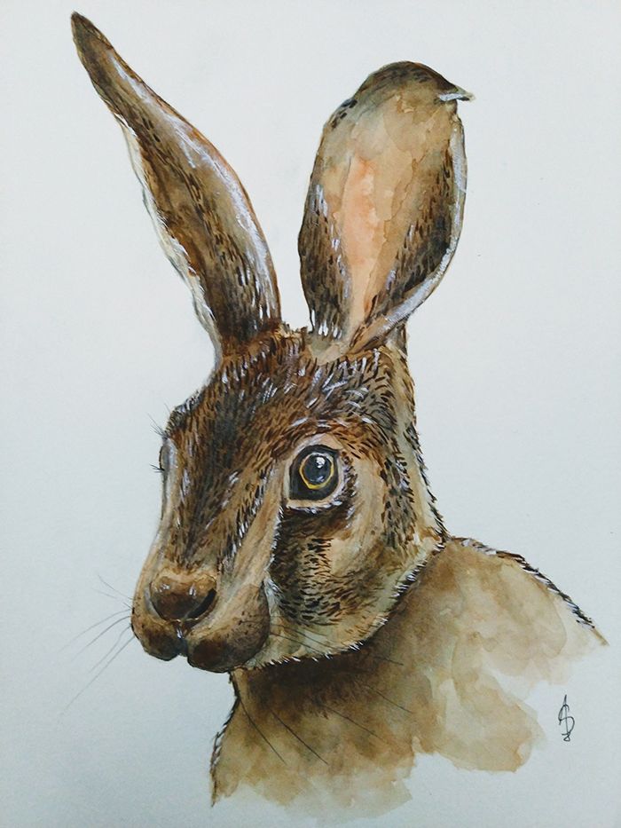 Dibujo final