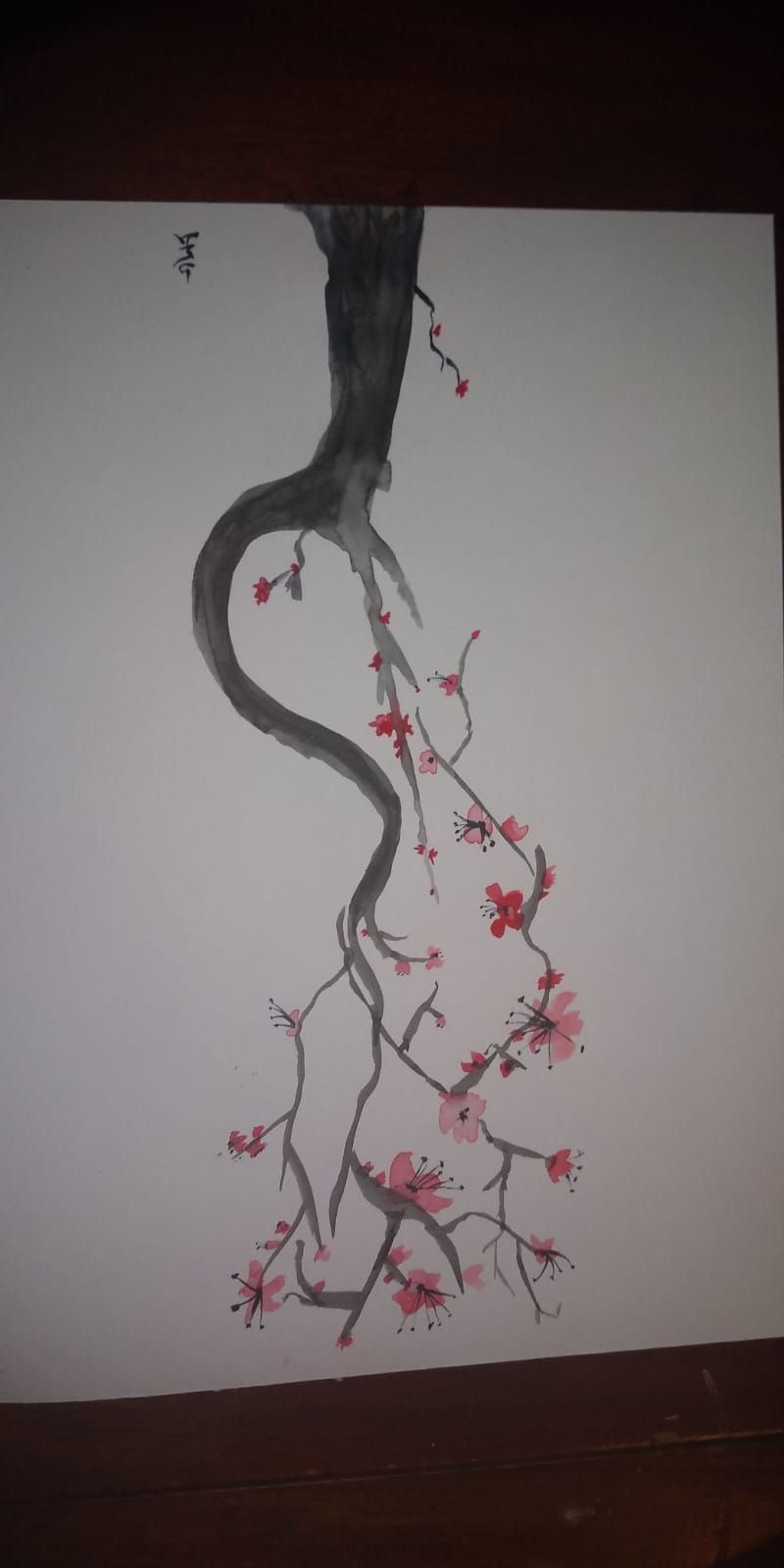 Plum Blossom