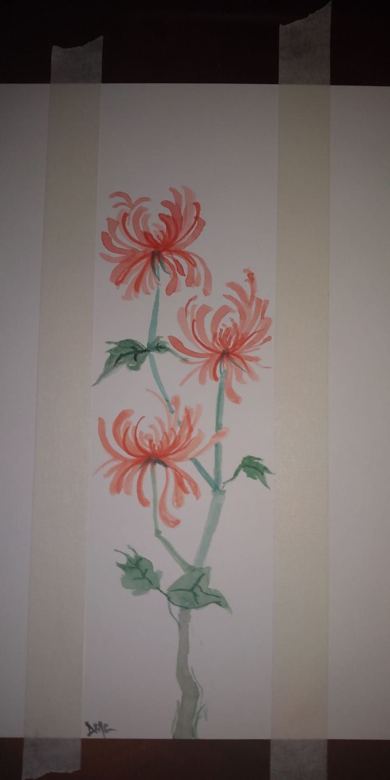 Chrysanthemum