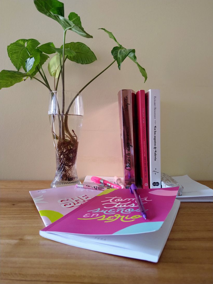 Mi Proyecto del curso: Fotografía profesional para Instagram 1