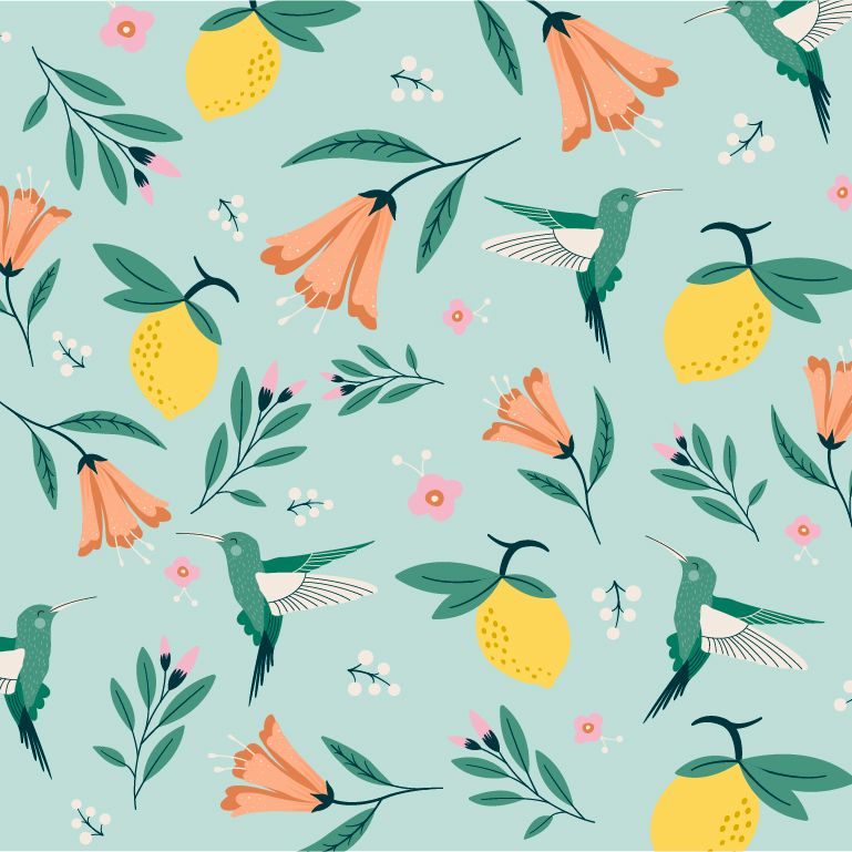 Colibri Madness 1