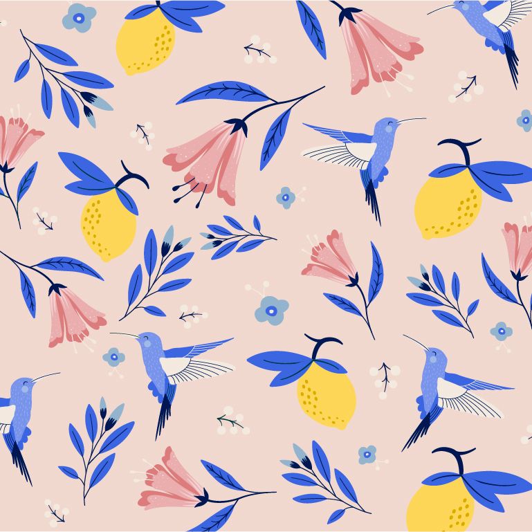 Colibri Madness 2
