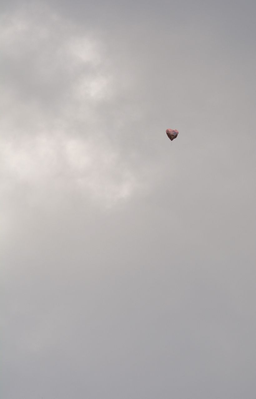 love is in the air 