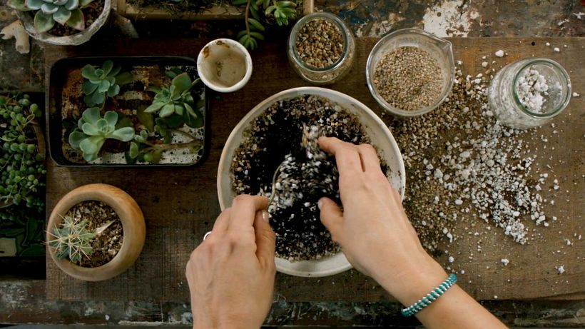 A Simple Way to Make Substrates for Your Succulents 3