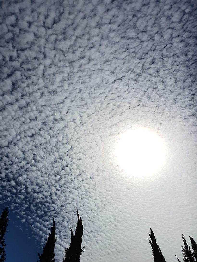 Mi Proyecto: Fotografía con movil 2