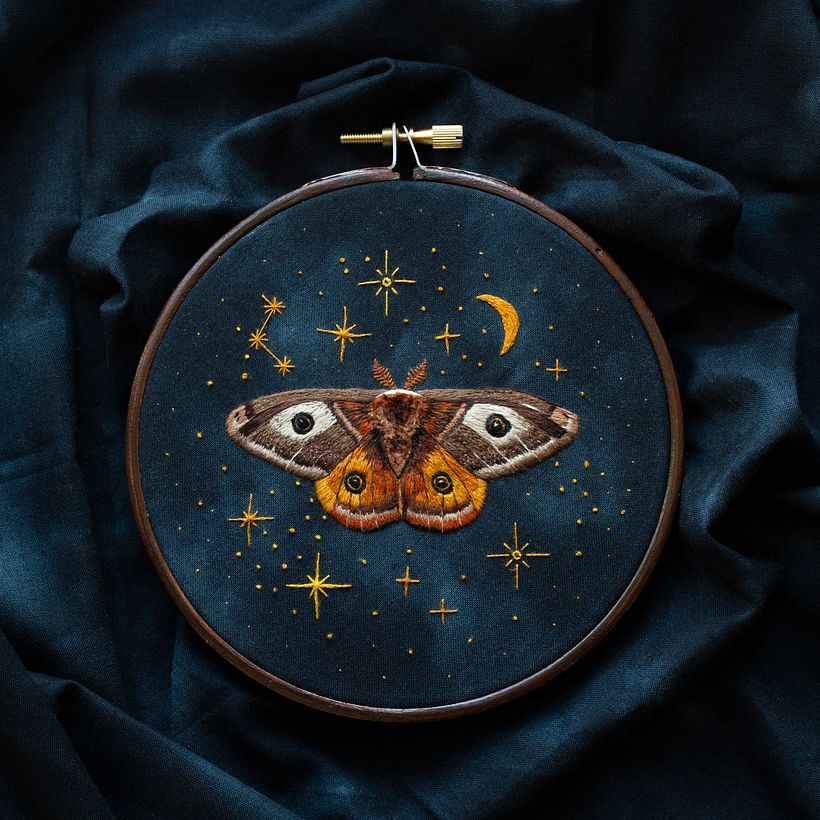 Our magical friend - The Emperor Moth 1