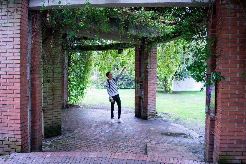 FOTOGRAFÍA_Botánica/Time 1