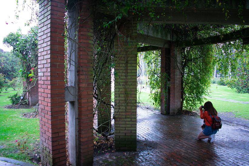 FOTOGRAFÍA_Botánica/Time 3