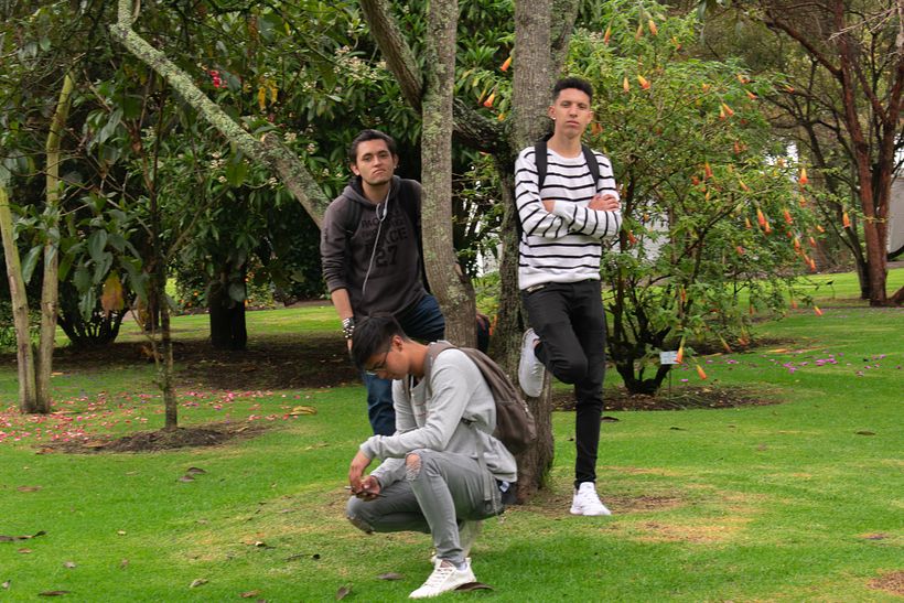 FOTOGRAFÍA_Botánica/Time 6