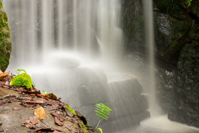 FOTOGRAFÍA_Botánica/Time 7