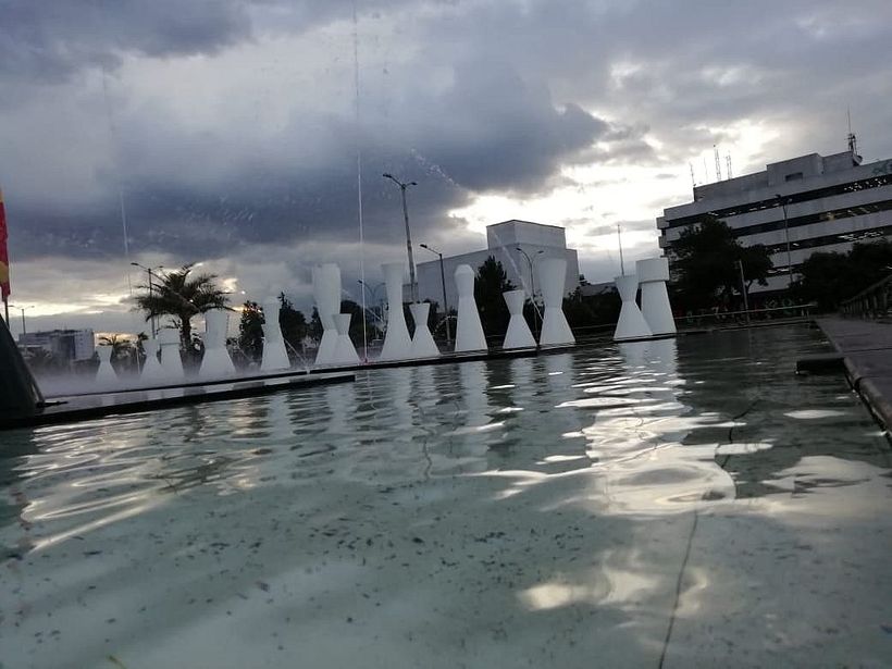 FOTOGRAFÍA_Botánica/Time 9