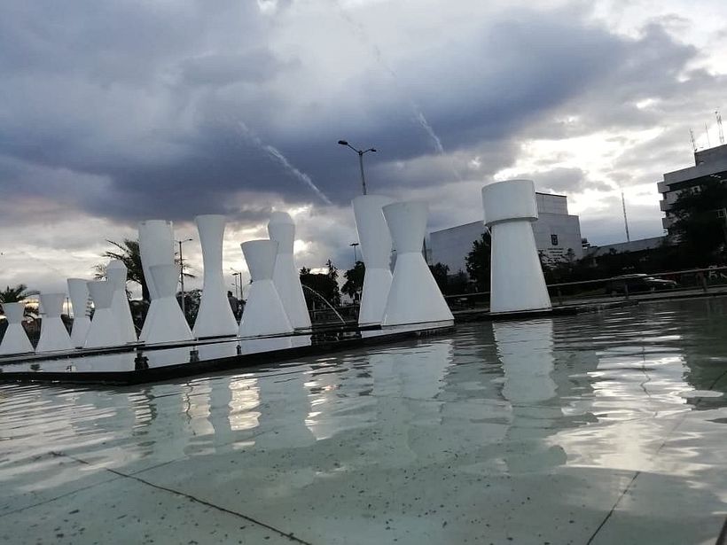 FOTOGRAFÍA_Botánica/Time 10