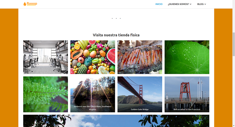 Mi Proyecto del curso: Creación de una web profesional con WordPress 1