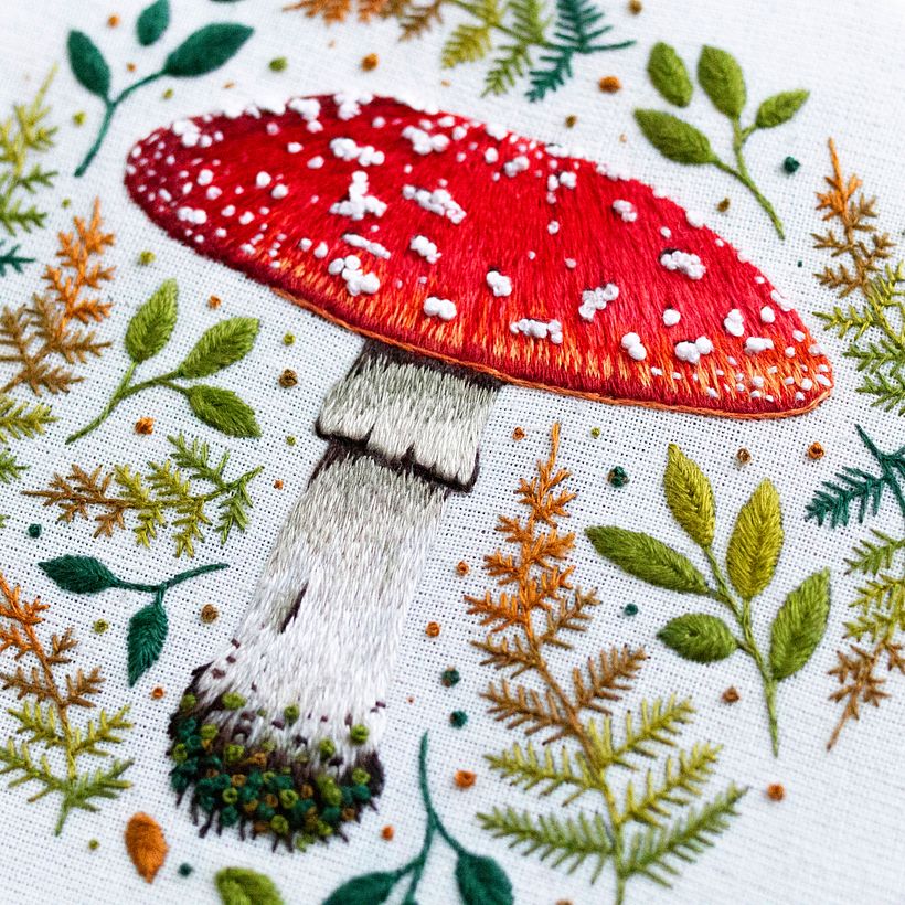 The Fly Agaric Mushroom  2