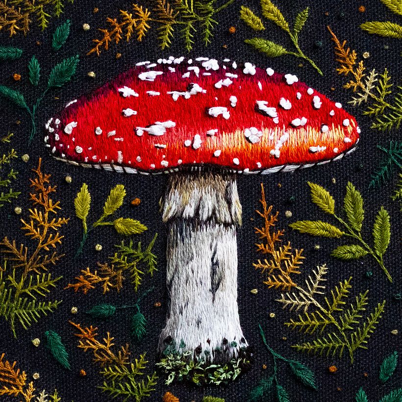 The Fly Agaric Mushroom  3