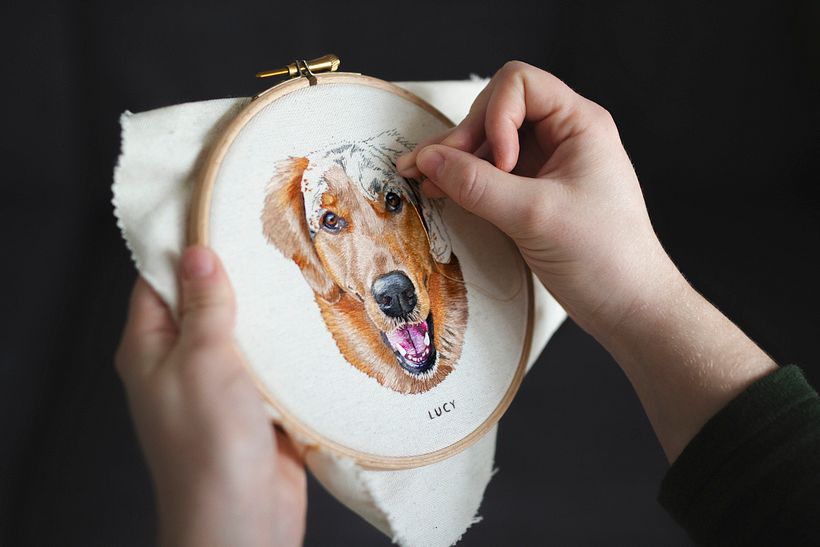 Colección de retratos de mascotas  0