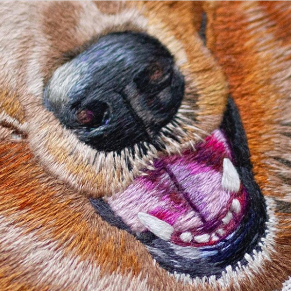 Colección de retratos de mascotas  1