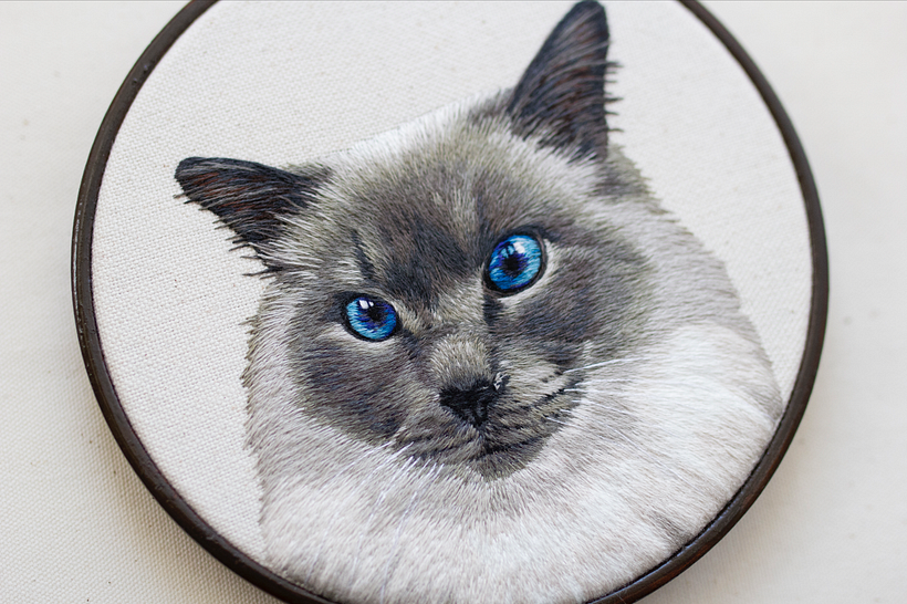 Colección de retratos de mascotas  2