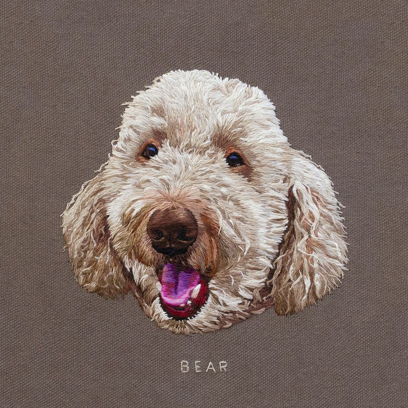 Colección de retratos de mascotas  4