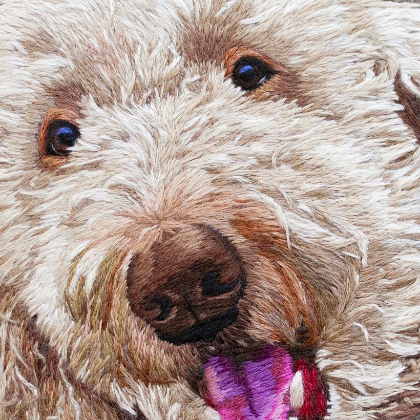 Colección de retratos de mascotas  5