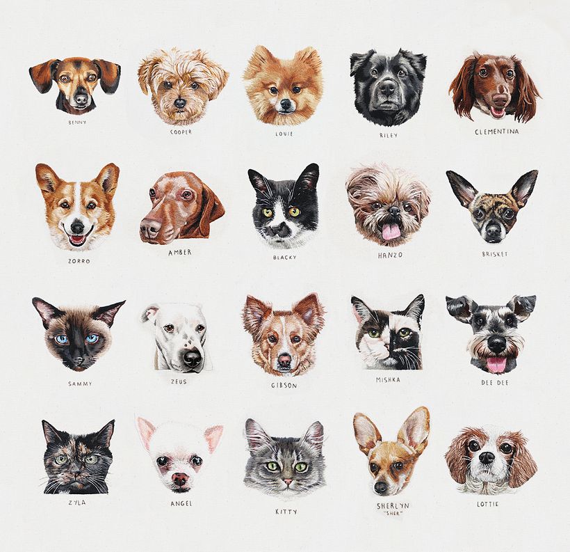 Colección de retratos de mascotas  7
