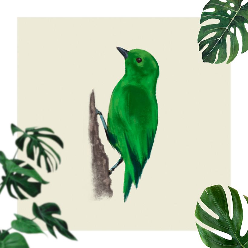 Naranja reluciente - Chlorochrysa phoenicotis