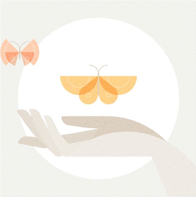 Platonic Atelier: Beautiful Things to Make Us Happy