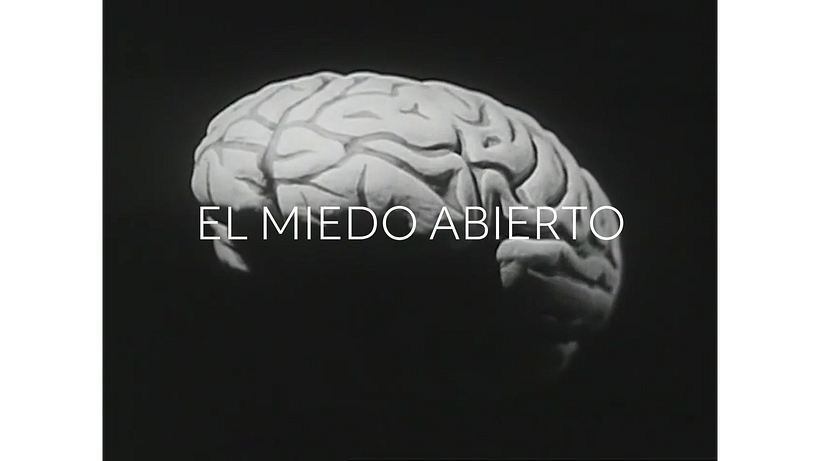 EL MIEDO ABIERTO 8