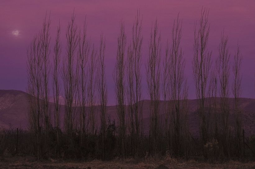La tierra brama en silencio 3