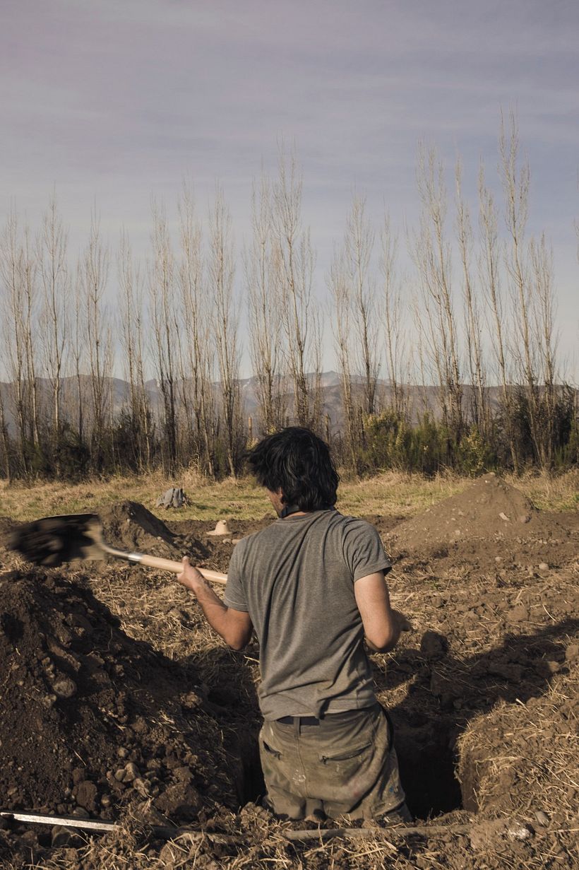 La tierra brama en silencio 9