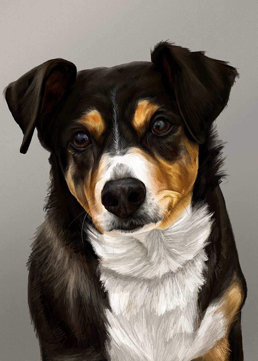 Retratos digitales con Procreate 2