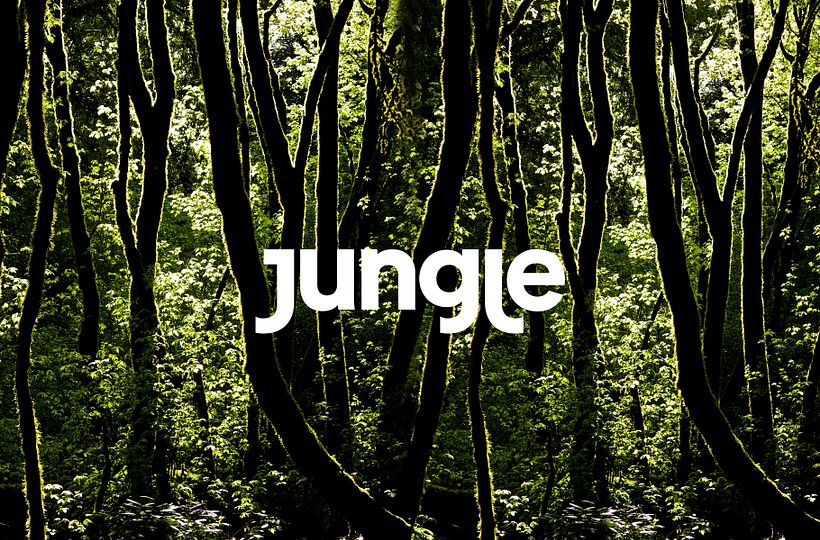 Jungle 0