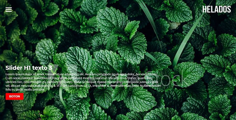 Mi Proyecto del curso: Diseño web responsive con Adobe Dreamweaver 1
