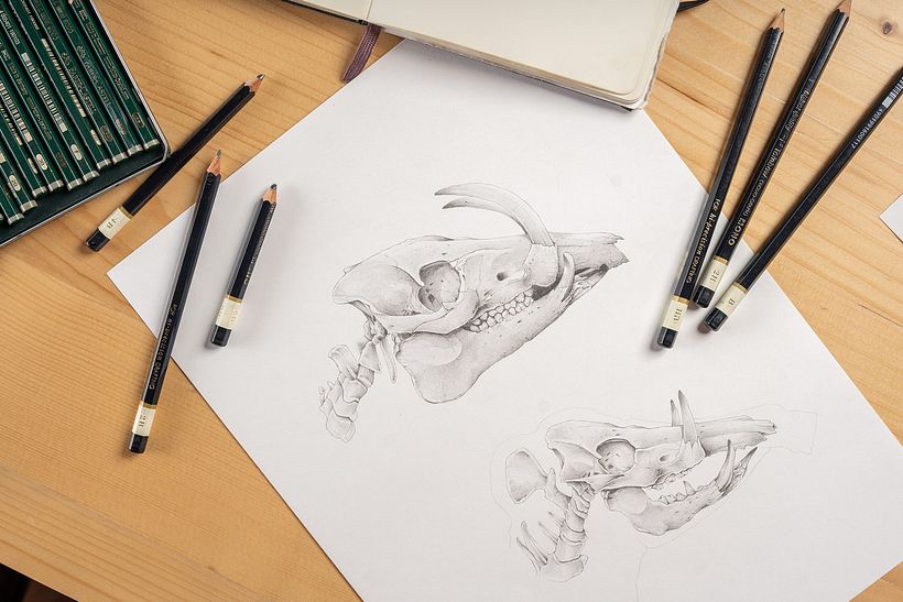 Pencil drawing Ricardo Núñez Suárez