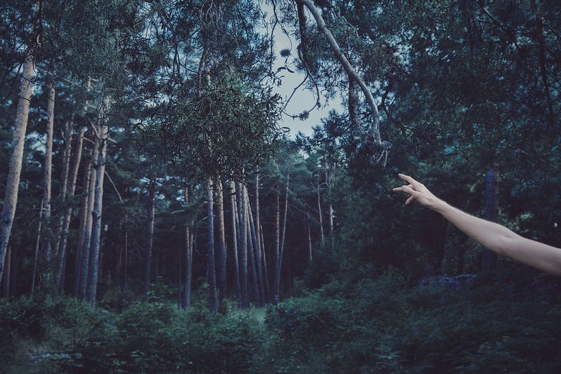 Habitat IV - Consciência Corporal e Natural (2014)