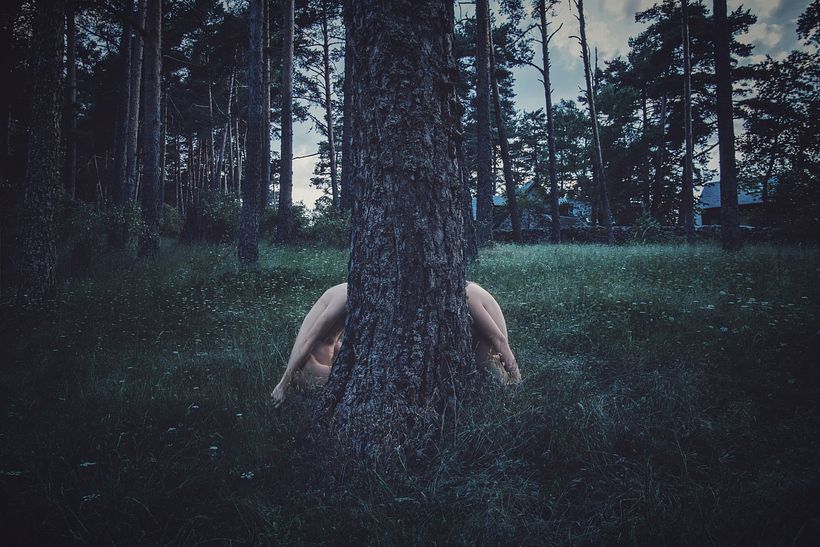 Habitat V - Consciência Corporal e Natural (2014)