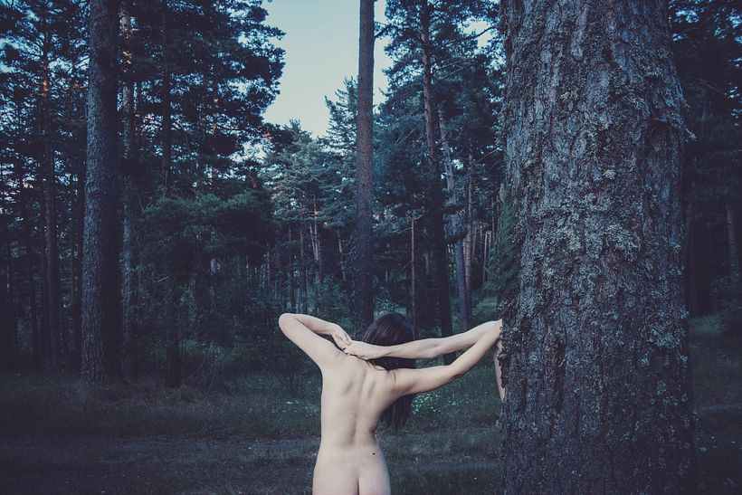 Habitat VI - Consciência Corporal e Natural (2014)