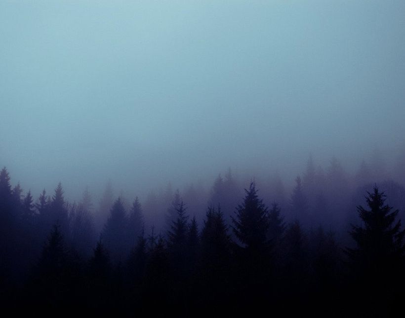 Moonlight  1