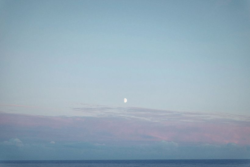 Moonlight  4