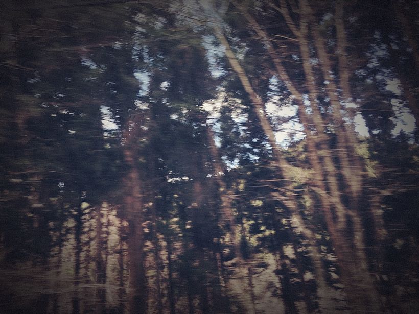 Deconstructing Memories (2018) - Fotografía