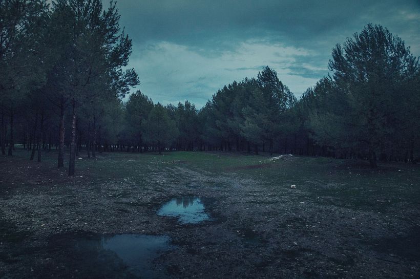 Estado de ánimo (2013) 0