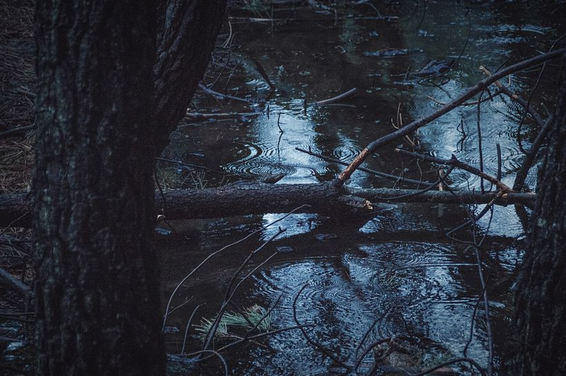 Estado de ánimo (2013) 4