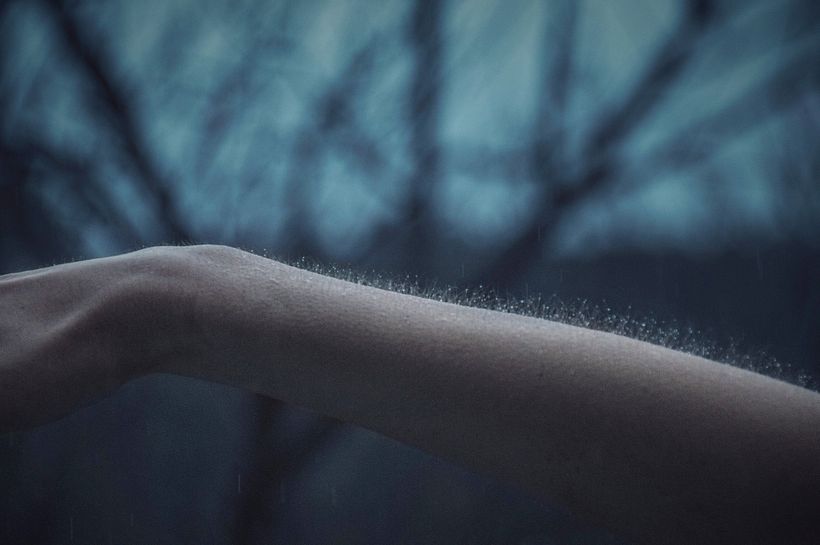 Estado de ánimo (2013) 8