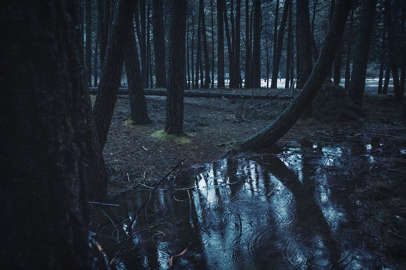 Estado de ánimo (2013) 9