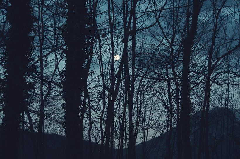 Estado de ánimo (2013) 11