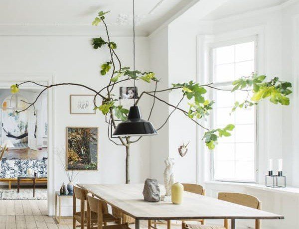 How to decorate with plants 1