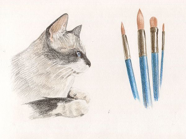 Mi Proyecto del curso: Ilustración comercial con lápices de colores 4