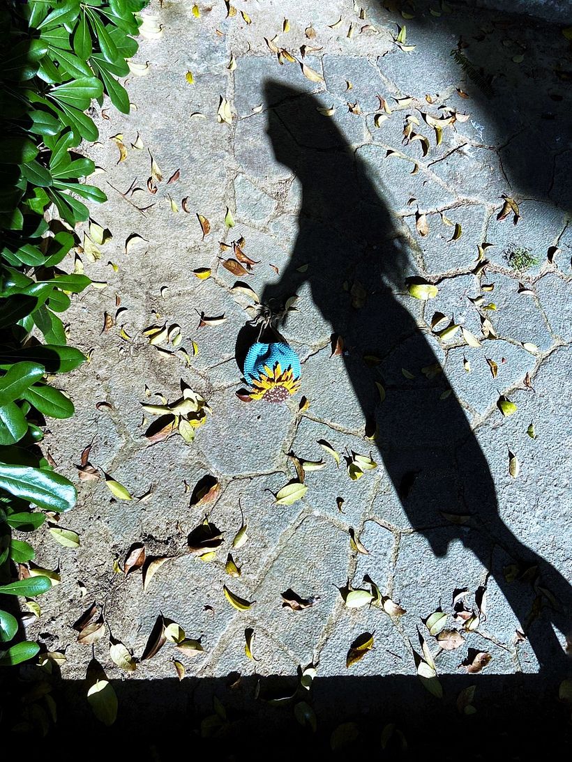 Girasoli estivi 3
